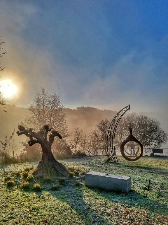 Cabanas Mirador Cachamuíña - 4