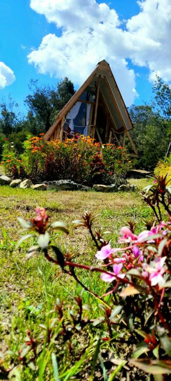 Zahrada ubytování Dante Glamping