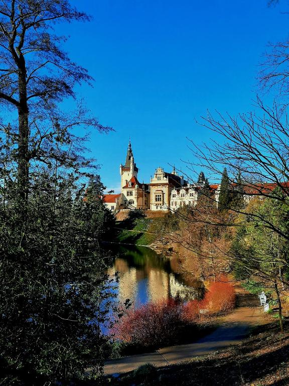 Príroda v okolí hotela