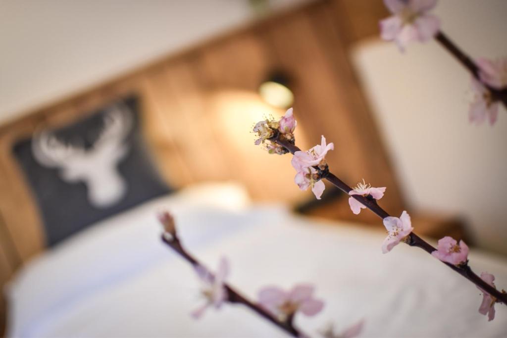 Posteľ alebo postele v izbe v ubytovaní LUXX Lodges - Holzgau - Lechtal - Arlberg