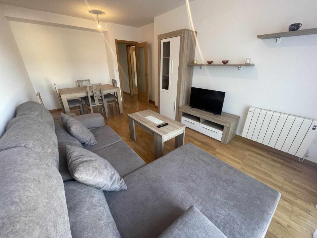 een woonkamer met een grijze bank en een televisie bij Grupo Gontad Apartamento Villa Amparo Laxe in A Coruña