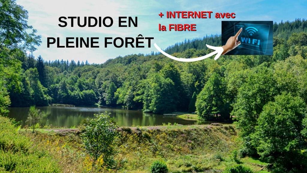 una foto de un lago con un pájaro volando sobre él en Studio aux Sources de la Chabanne, en Saint-Hilaire-les-Courbes