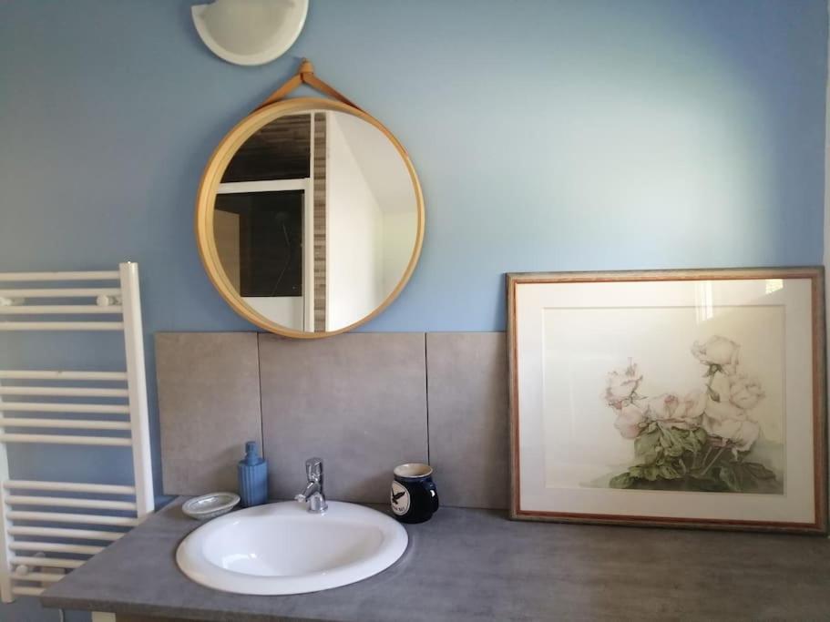 uma casa de banho com um lavatório e um espelho em Obungalow de July Belle vue em Saint-Julien-sur-Calonne