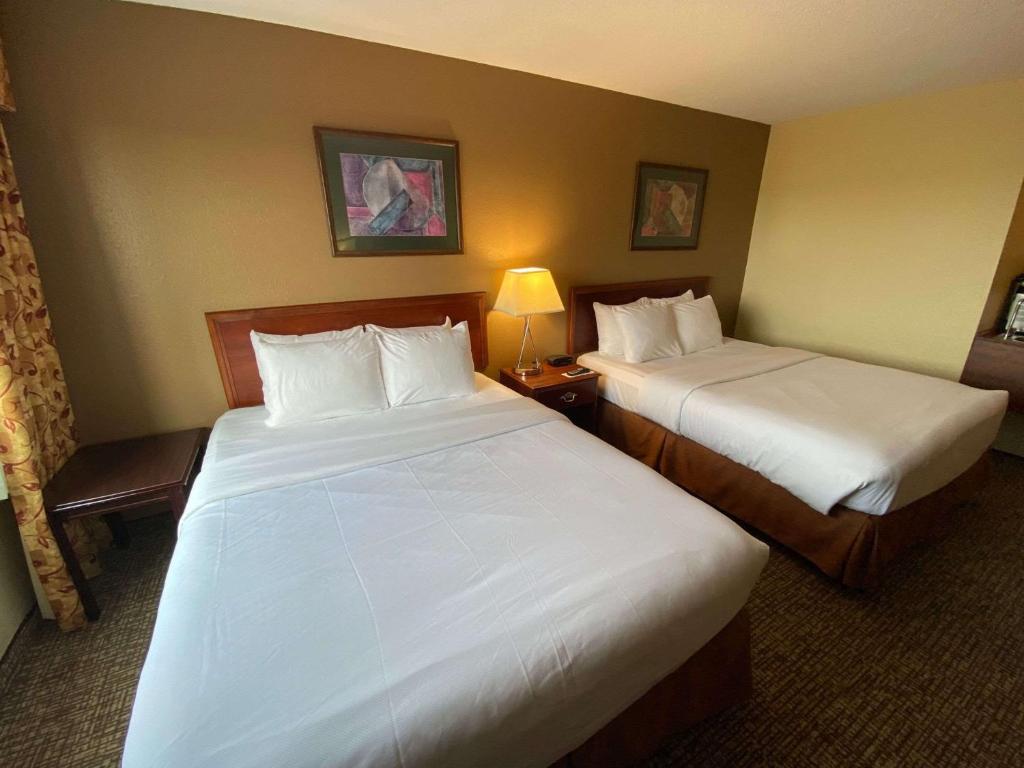 Voodi või voodid majutusasutuse Comfort Inn & Suites at I-74 and 155 toas