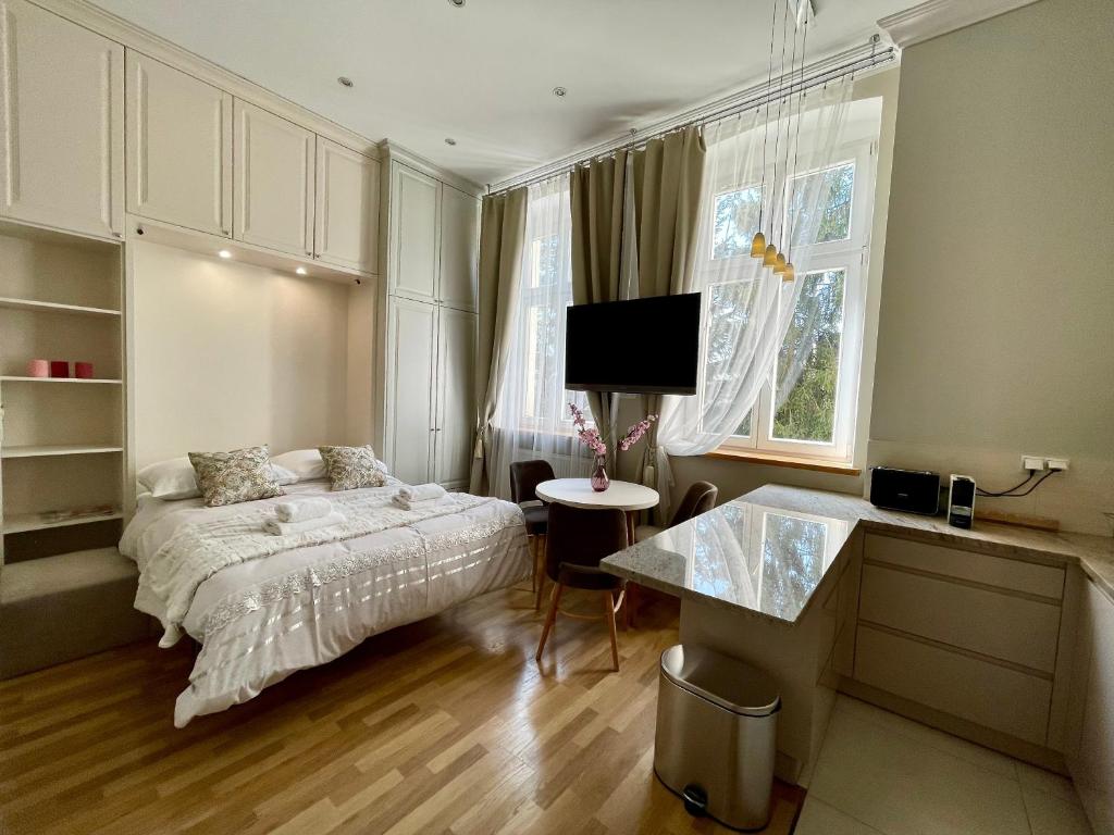 Televízia a/alebo spoločenská miestnosť v ubytovaní Tresor Barska Apartments