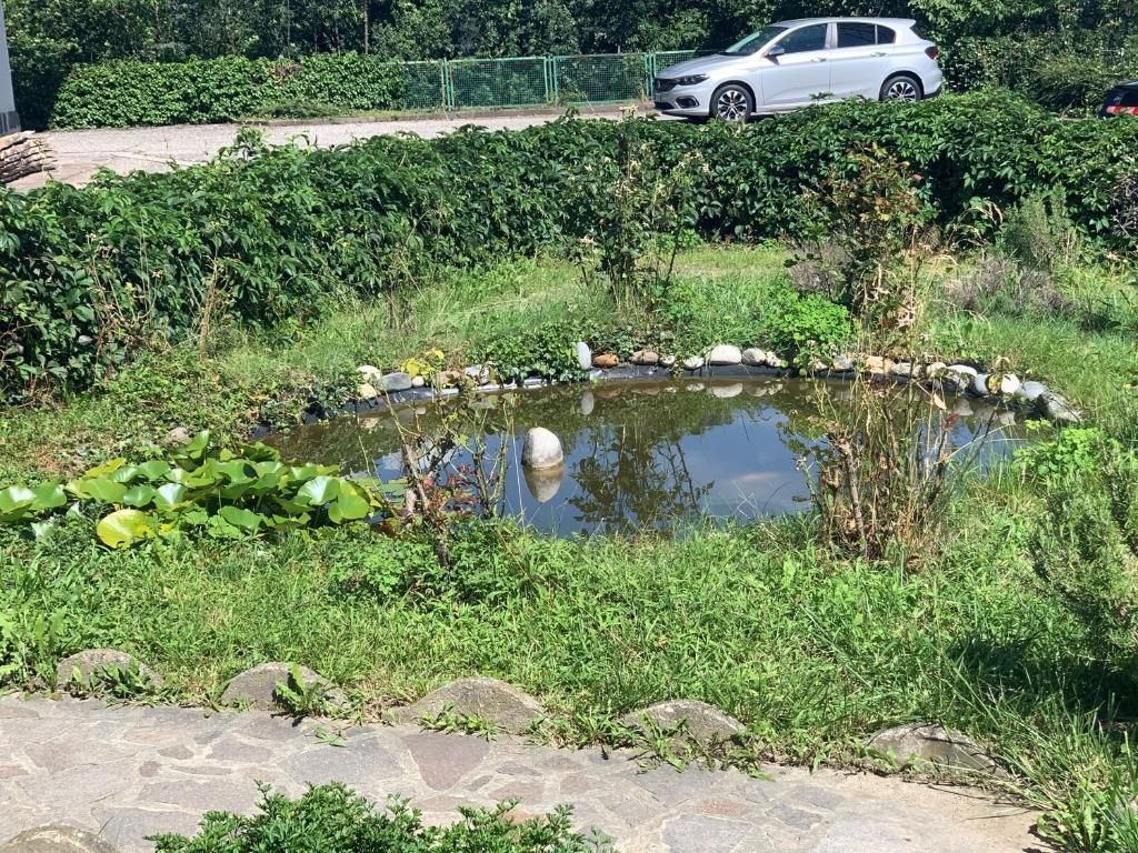 Zahrada ubytování Appartment Valentin