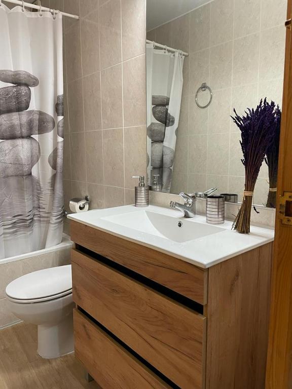 A bathroom at Apartaments Albiñana