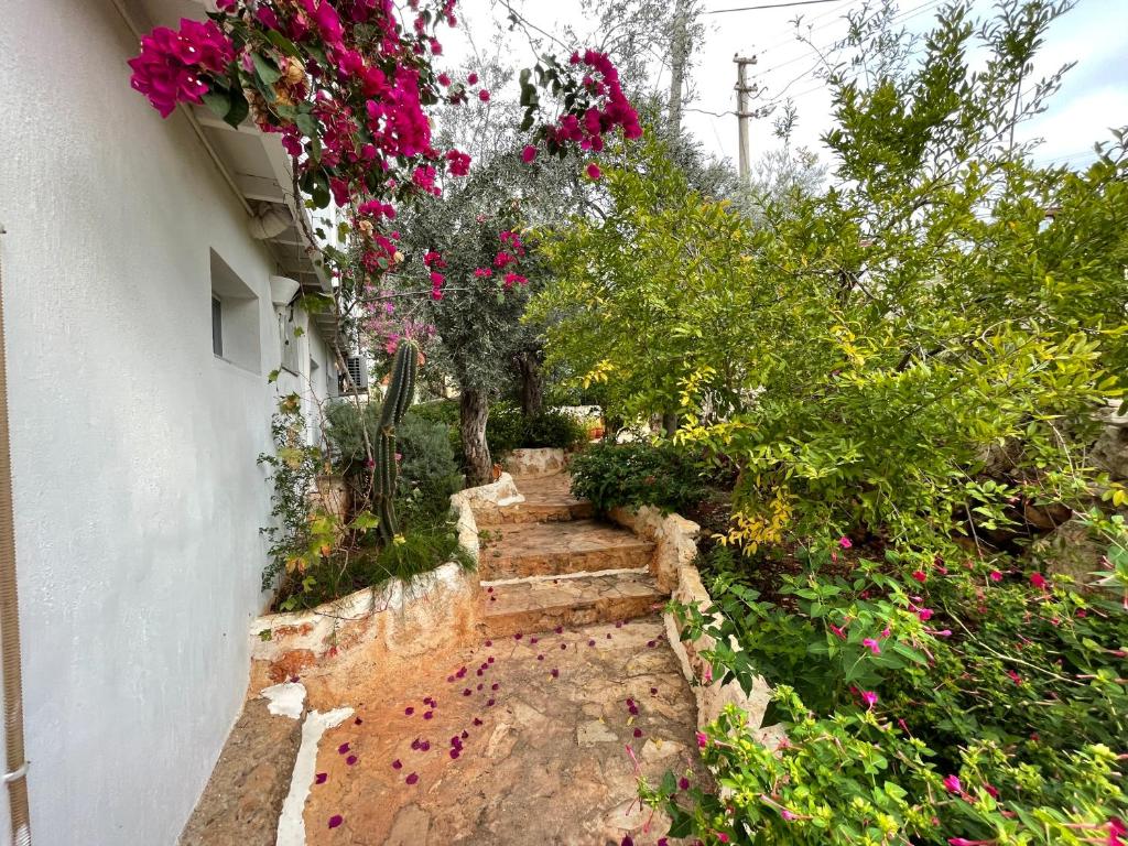 Kaktus Beach Apart - 9