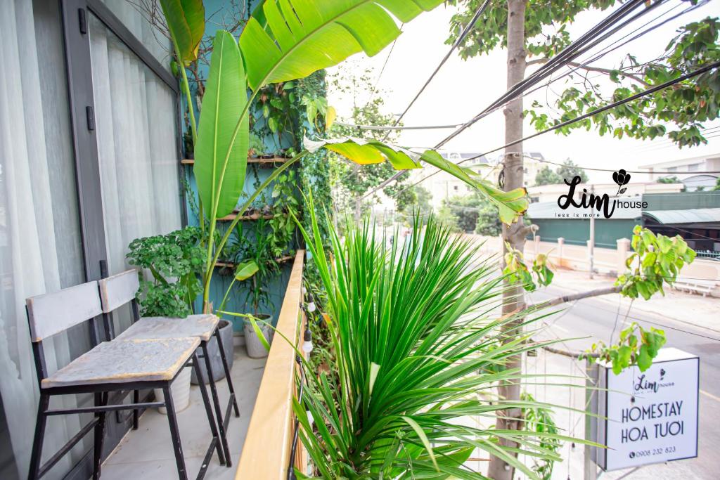 Bố cục LIM Homestay
