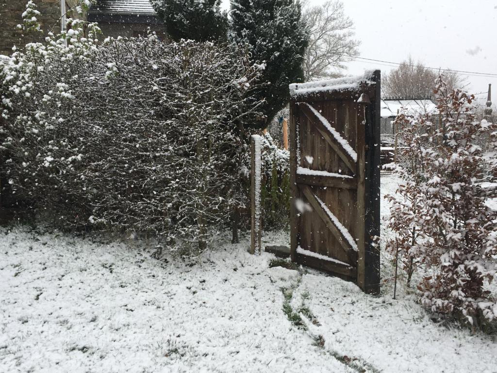 Gîtanneke durante l'inverno