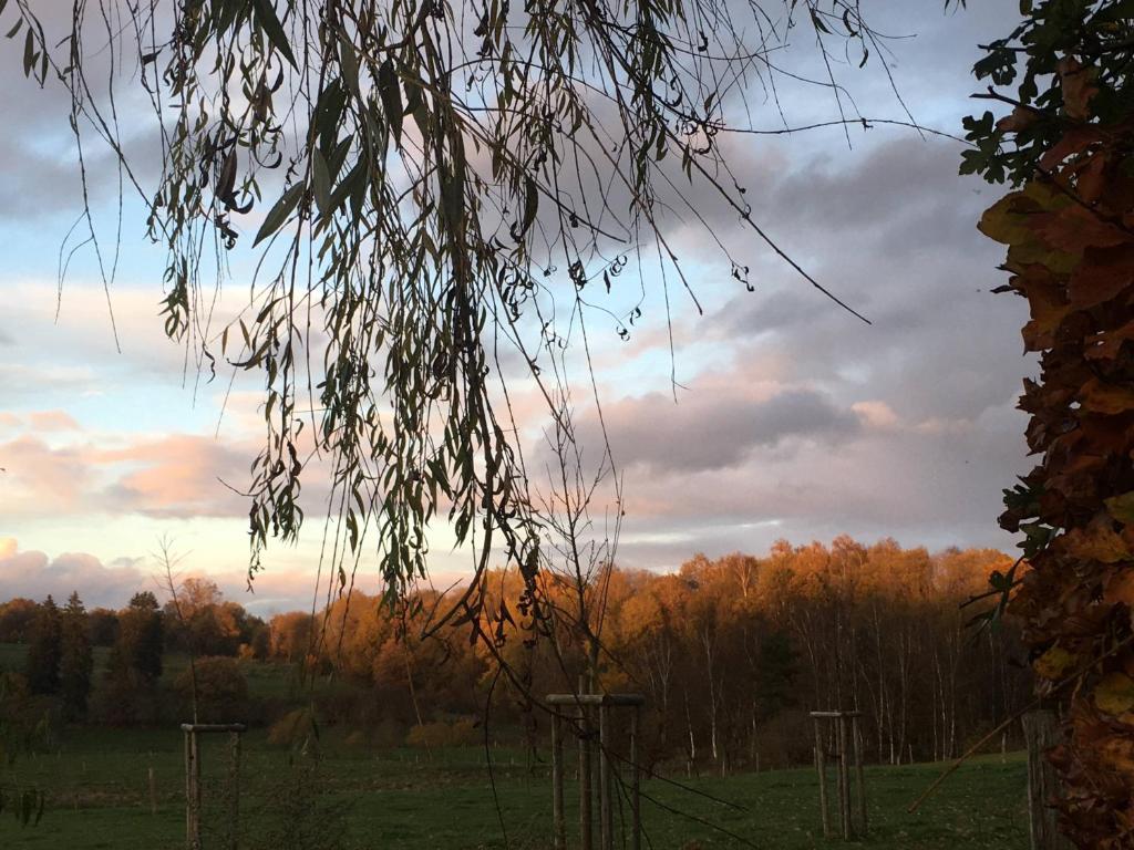 Paesaggio naturale nelle vicinanze della casa vacanze
