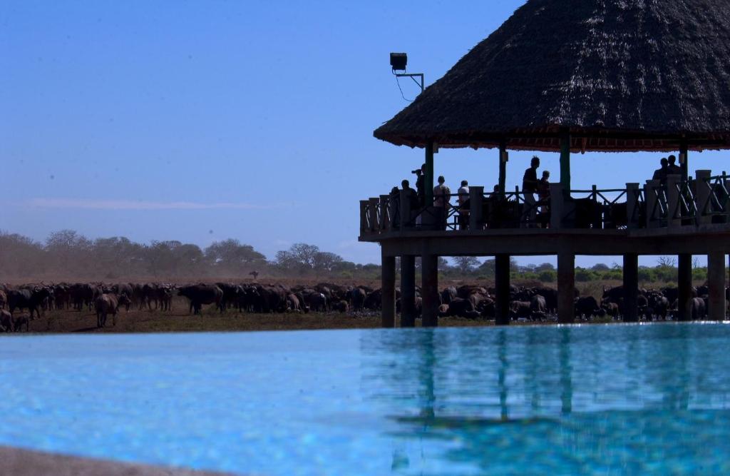 a group of people standing on a pier next to a herd of animals at Voi Wildlife Lodge in Voi