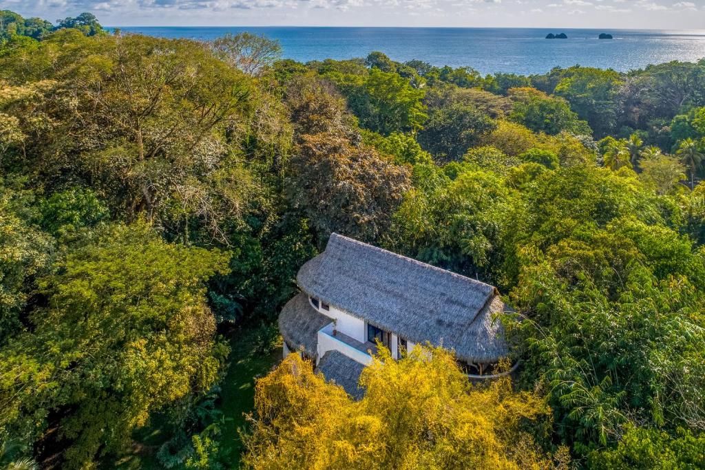 an aerial view of a house in the forest at Makara Suite Mariposa Ground Floor in Uvita