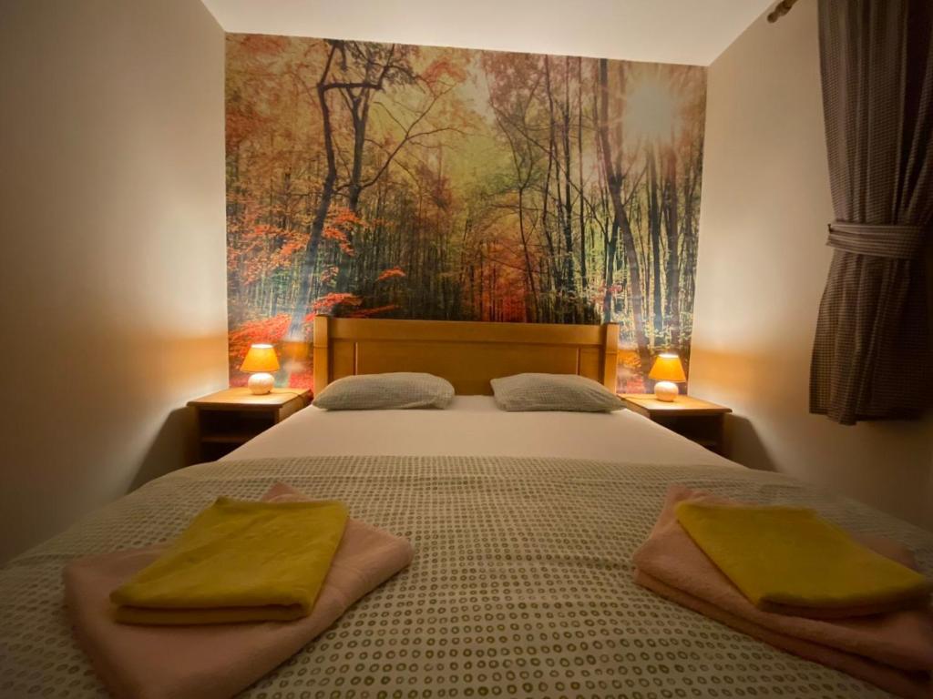 Holiday Homes Durmitorski Gaj - 19