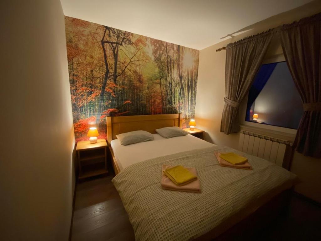 Holiday Homes Durmitorski Gaj - 17