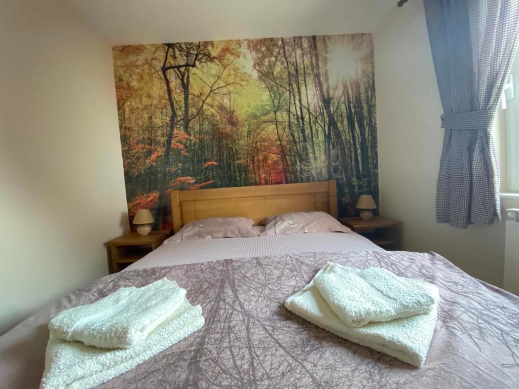 Holiday Homes Durmitorski Gaj - 15