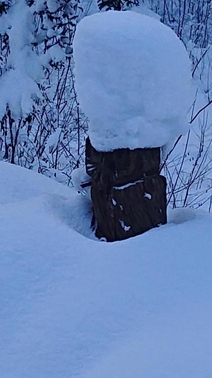 Alpenparadies Grindelwald during the winter