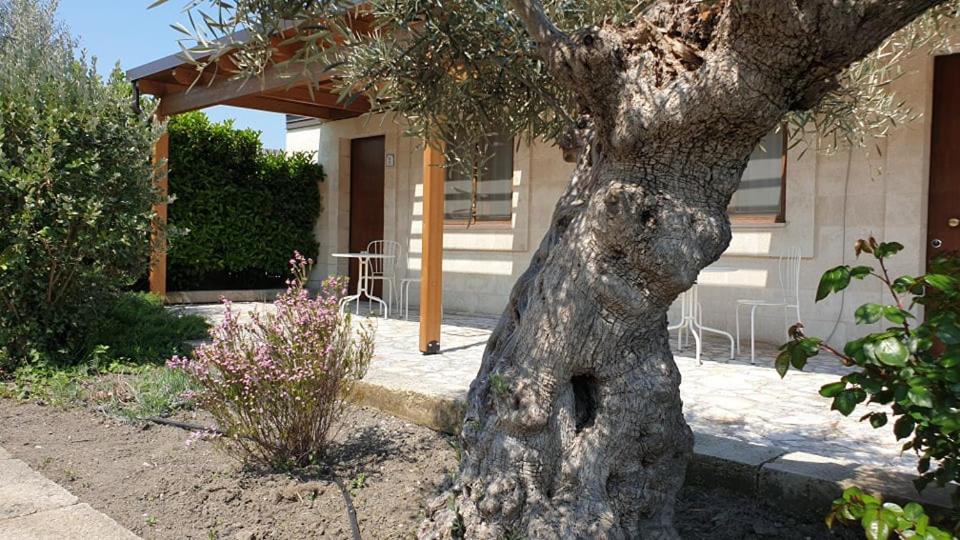 Ogród w obiekcie Residence Masseria Santa Lucia