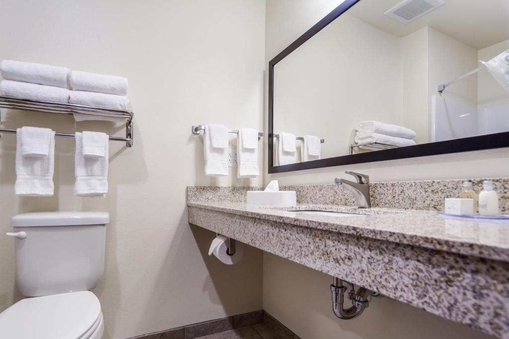 Cobblestone Inn & Suites-Fremont - Double Room