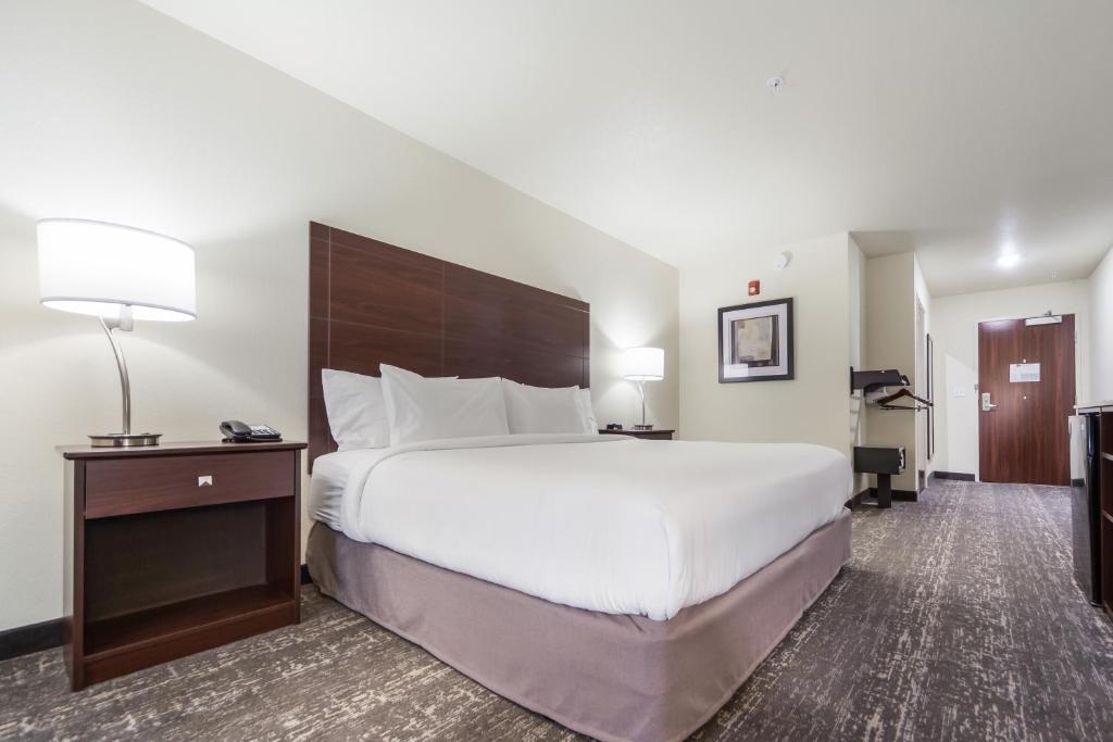Cobblestone Inn & Suites-Fremont - Double Room