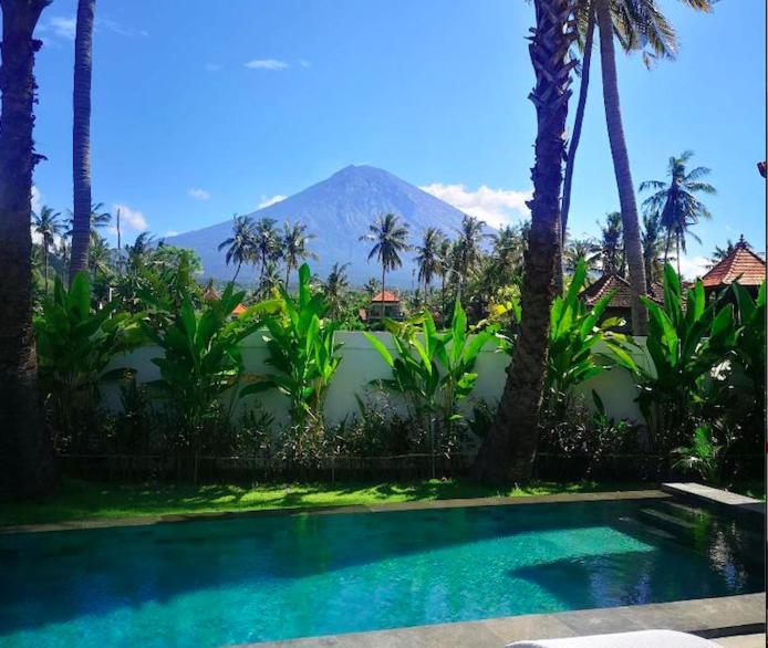 a swimming pool with palm trees and a mountain in the background at Villa Uhaïna Amed Bali in Amed