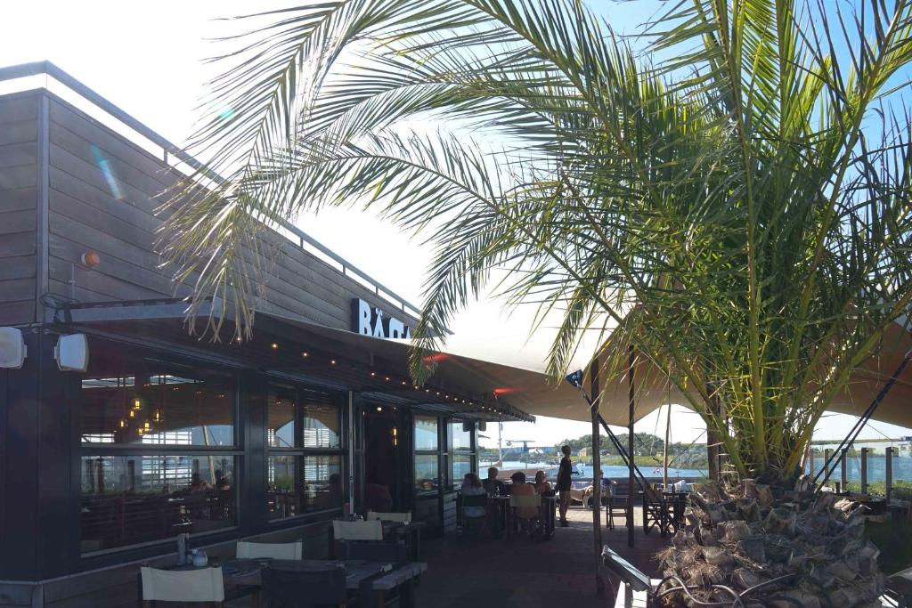 斯泰倫丹的住宿－Dock Hotel Stellendam，餐厅前的棕榈树