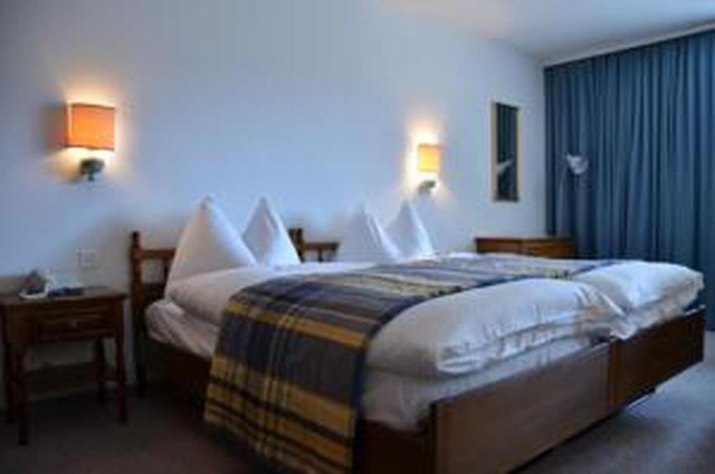 Hotel Regina Terme - Habitación Doble Con Vista A La Montaña