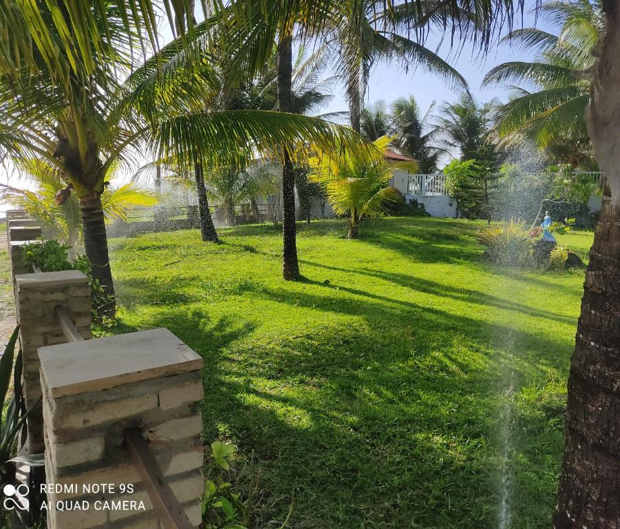 park z palmami i ławką w trawie w obiekcie PONTA das BRILLES Departamento 1 w mieście Nísia Floresta