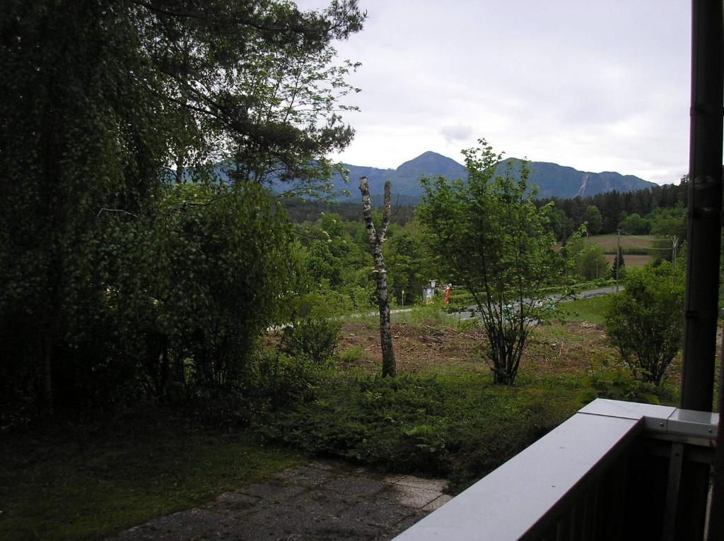 Příroda nedaleko apartmánu