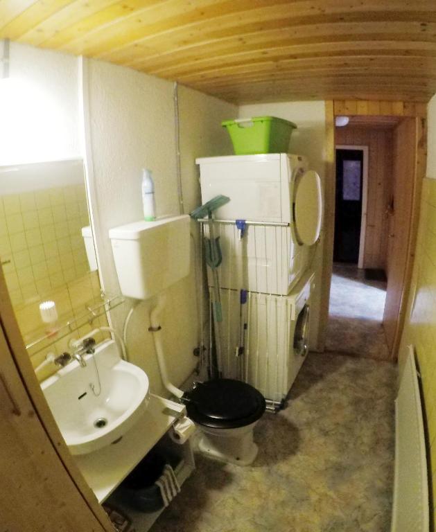 Koupelna v ubytování Gemütliche Ferienwohnung im Berner Oberland