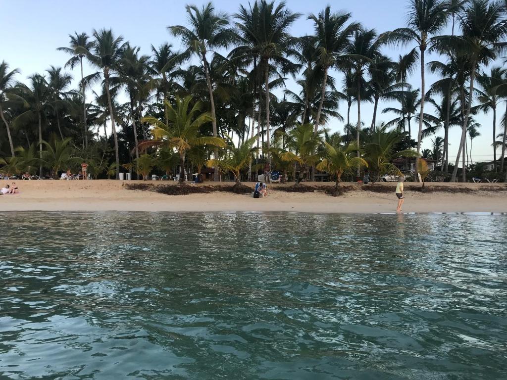 vista su una spiaggia con palme e acqua di La Cortesana in Las Terrenas a Las Terrenas
