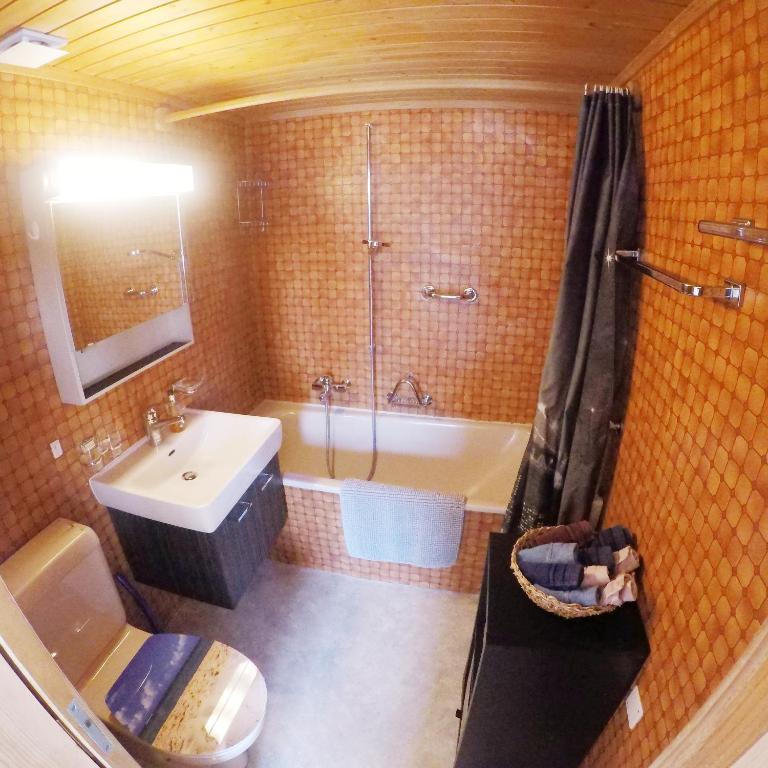 Koupelna v ubytování Gemütliche Ferienwohnung im Berner Oberland