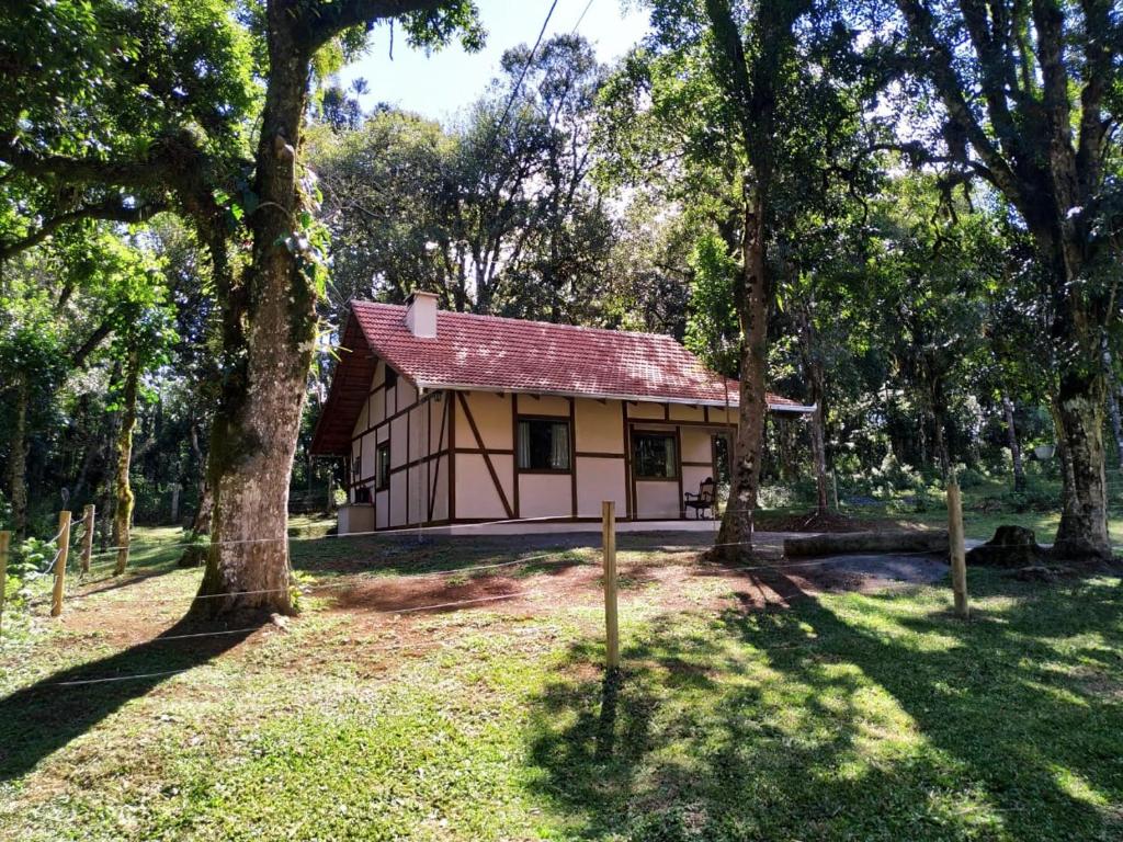 a small house in the middle of a forest at Casa Goethe - Bio Cult in Campo Alegre