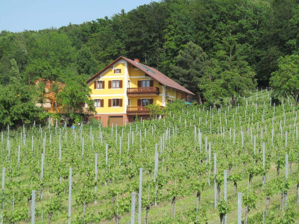 a house in a vineyard with a bunch of vines at Appartement Weingut Schoberhof in Bad Gleichenberg