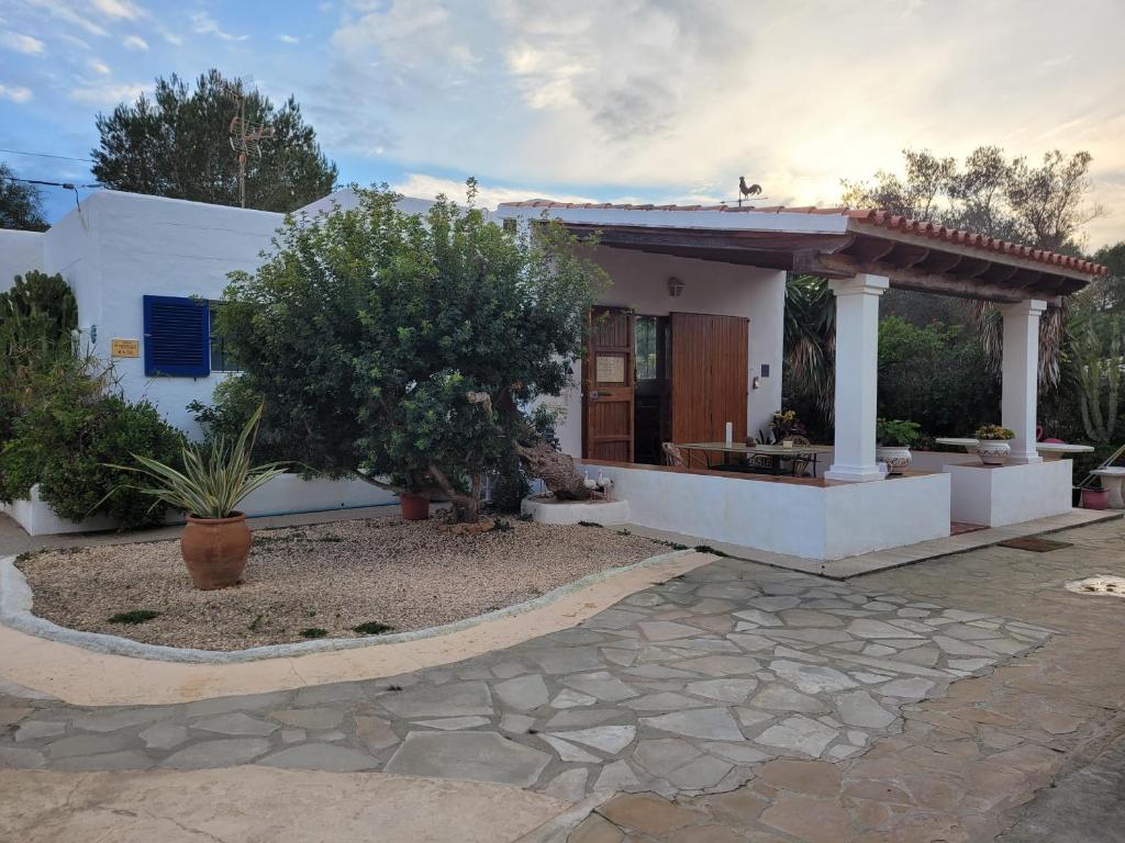 una pequeña casa blanca con un árbol delante en Can Brilla en Sant Francesc Xavier