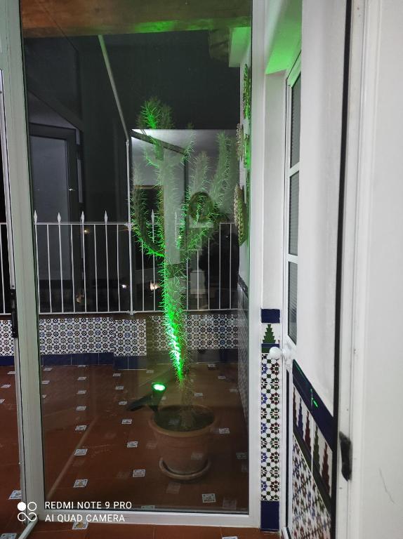 Fotografie z fotogalerie ubytování Casa de las Lanzas v destinaci Setenil