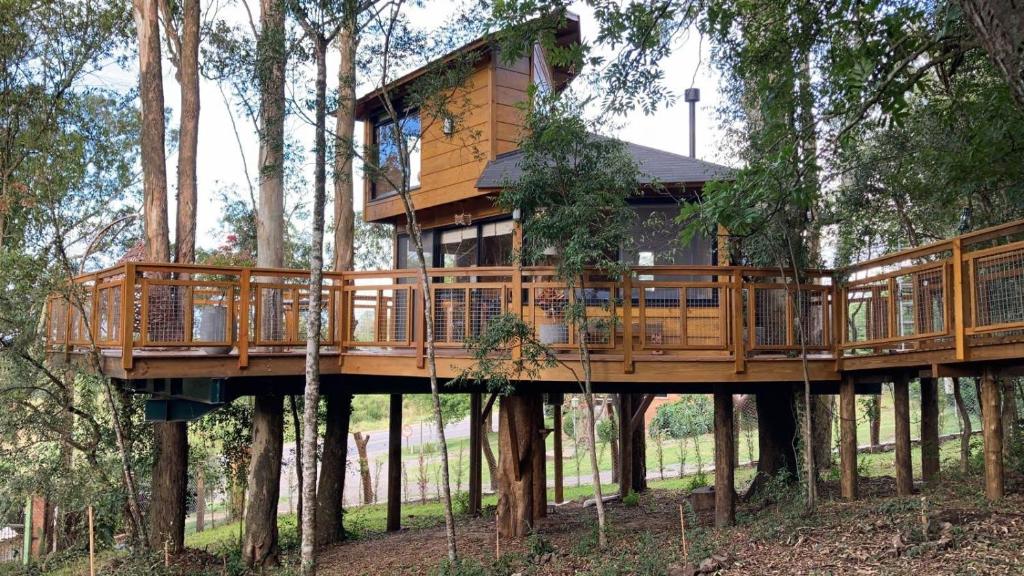 una casa en el árbol en medio de los árboles en Casa na Árvore Morada dos Vagalumes, en Farroupilha