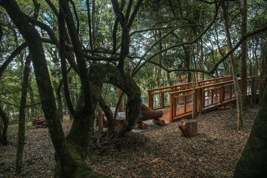 Zahrada ubytování Casa na Árvore Morada dos Vagalumes