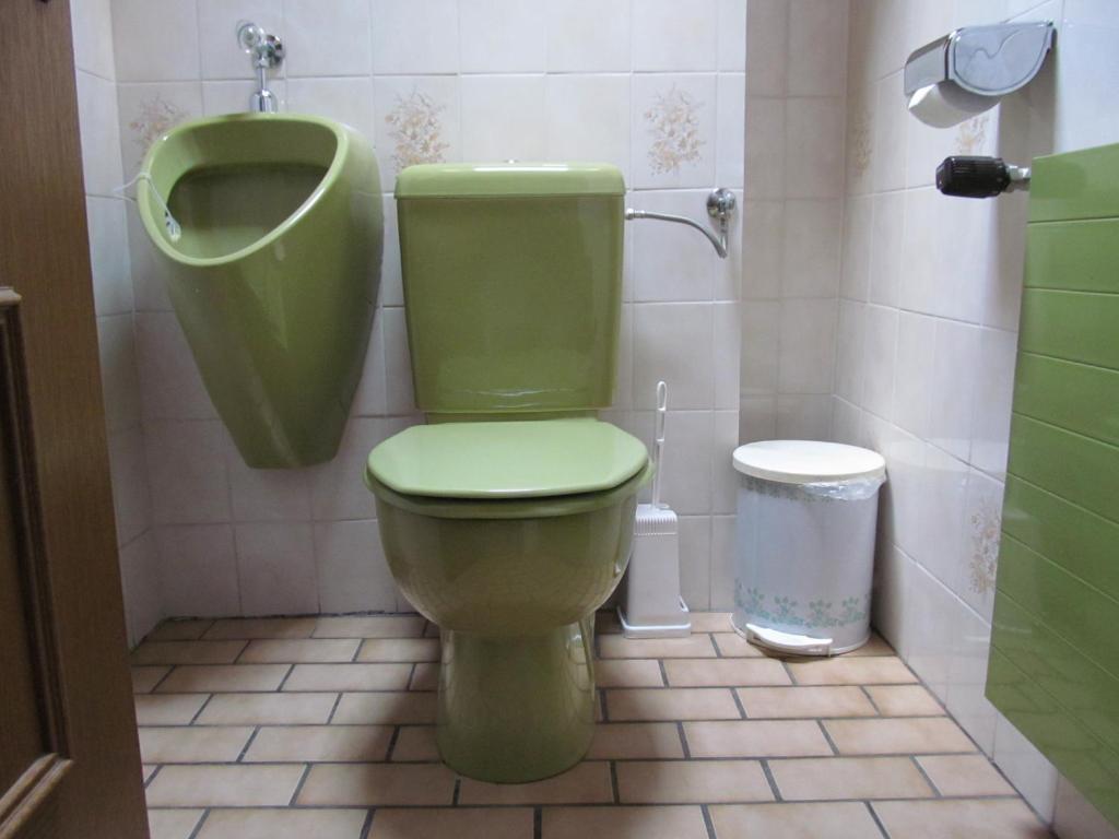 a bathroom with a green toilet and a urinal at Appartement Weingut Schoberhof in Bad Gleichenberg