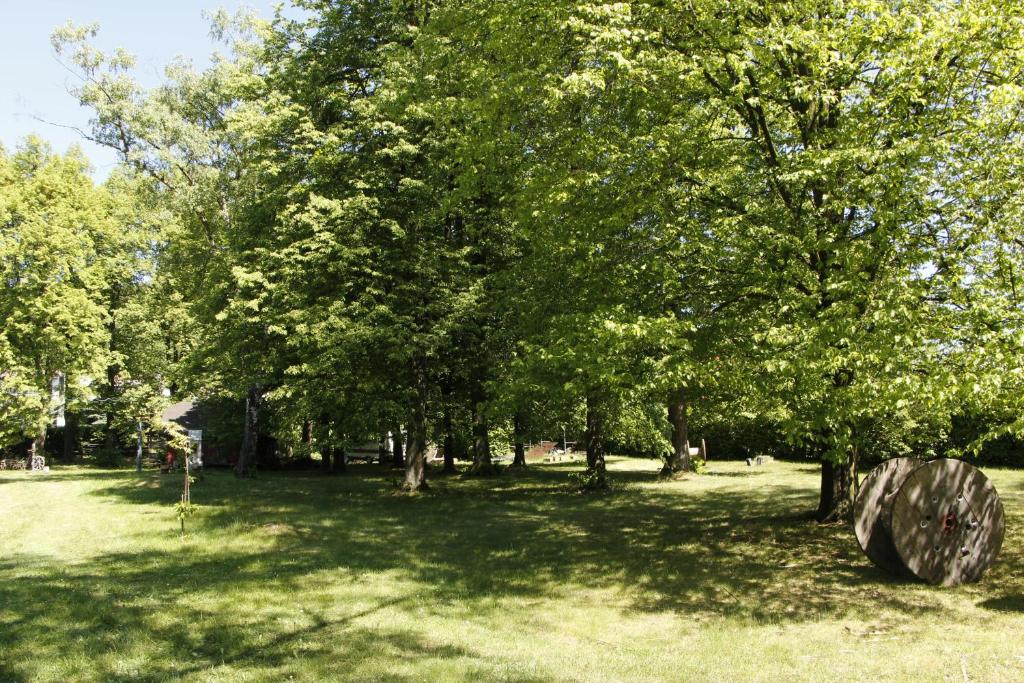 Zahrada ubytování Glamping Pod Lipami