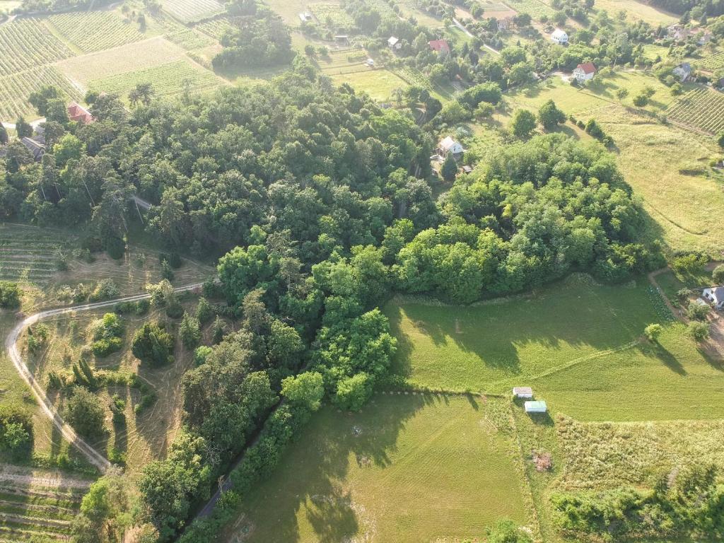 Príroda v okolí apartmánu