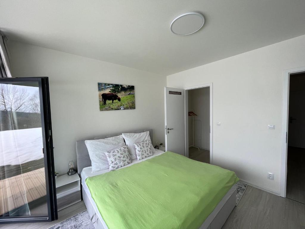 Postel nebo postele na pokoji v ubytování Apartmán Darsinka