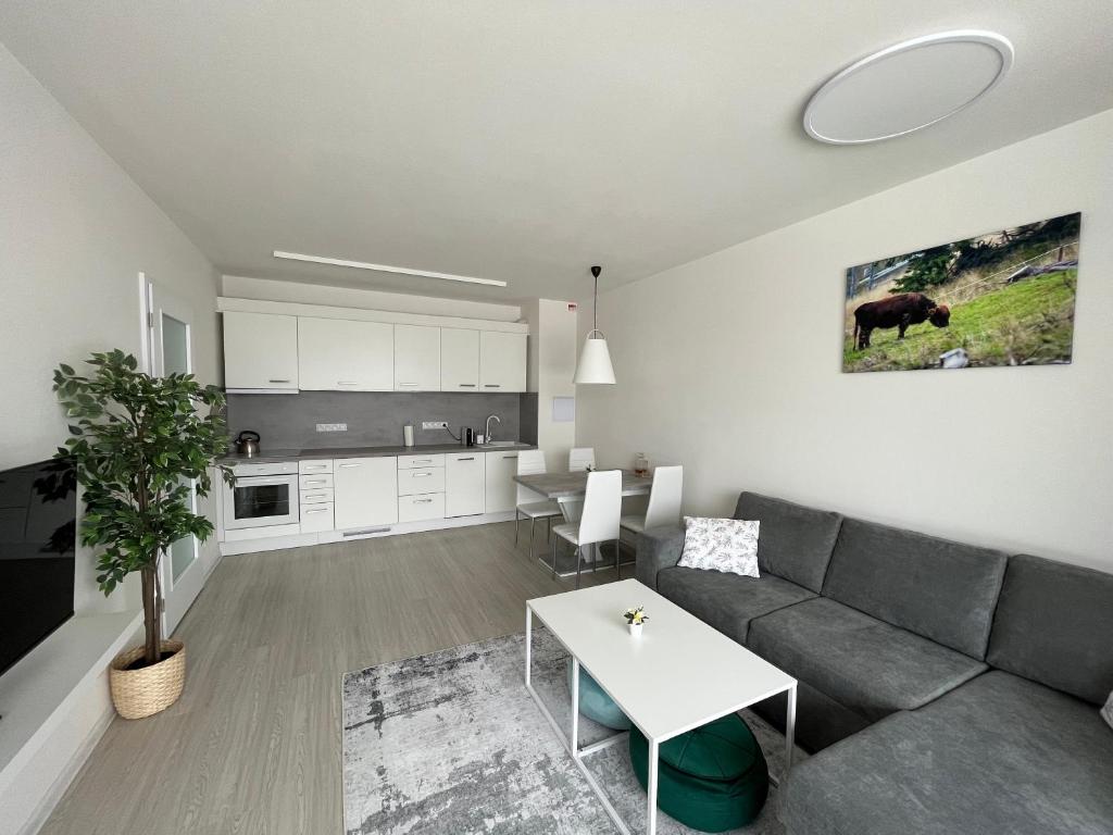 Kuchyň nebo kuchyňský kout v ubytování Apartmán Darsinka