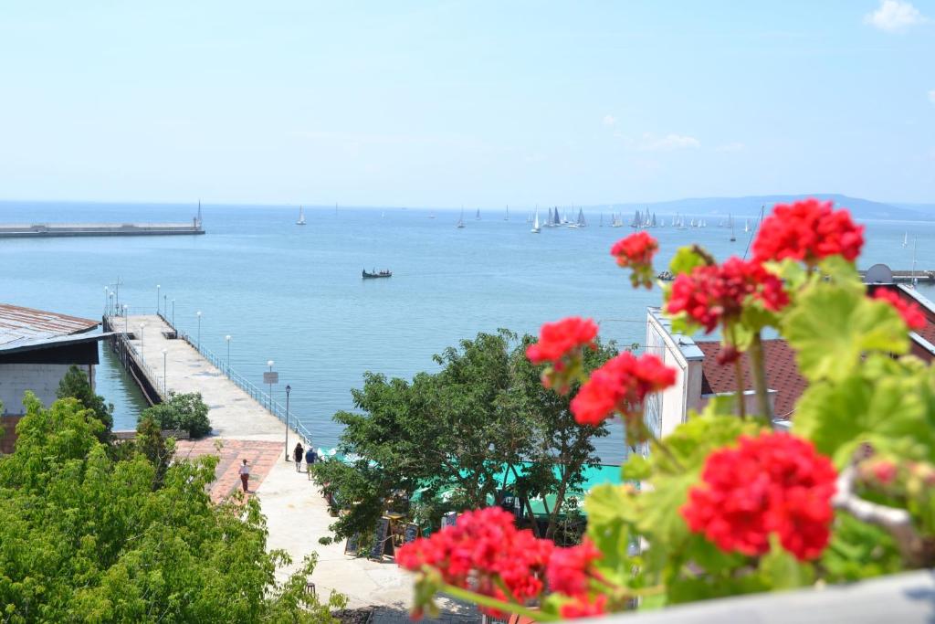 a view of the ocean from a balcony with red flowers at Family Hotel Magnolia in Balchik