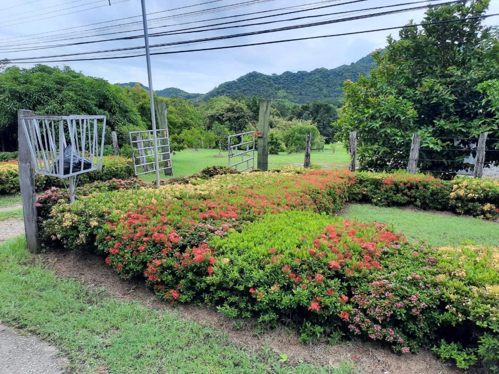 Cabinas El Jardin