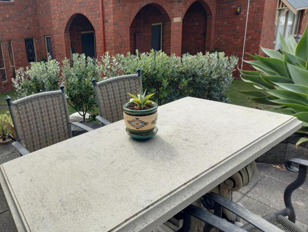 a potted plant sitting on top of a table at Ocean Aspect and Central to CBD - CoSheirm Apartments On Merri in Warrnambool