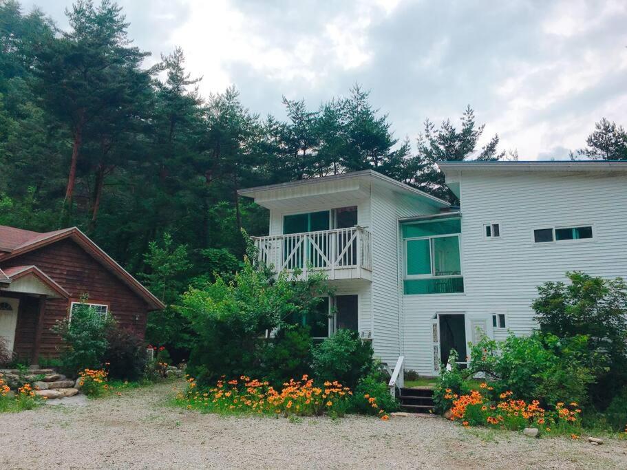 Zahrada ubytování Blue Sky Milky Way Pension