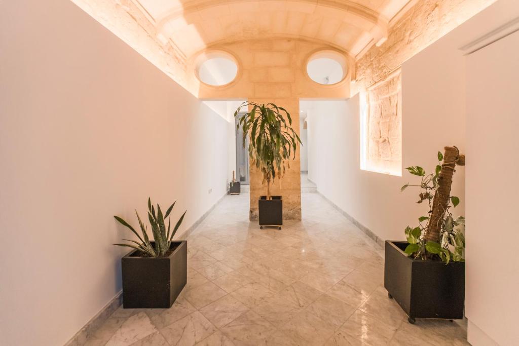 Valletta Collection - 101 Republic - 18