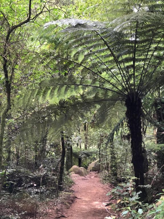 Cosy Country Stay B&B - Resim 27