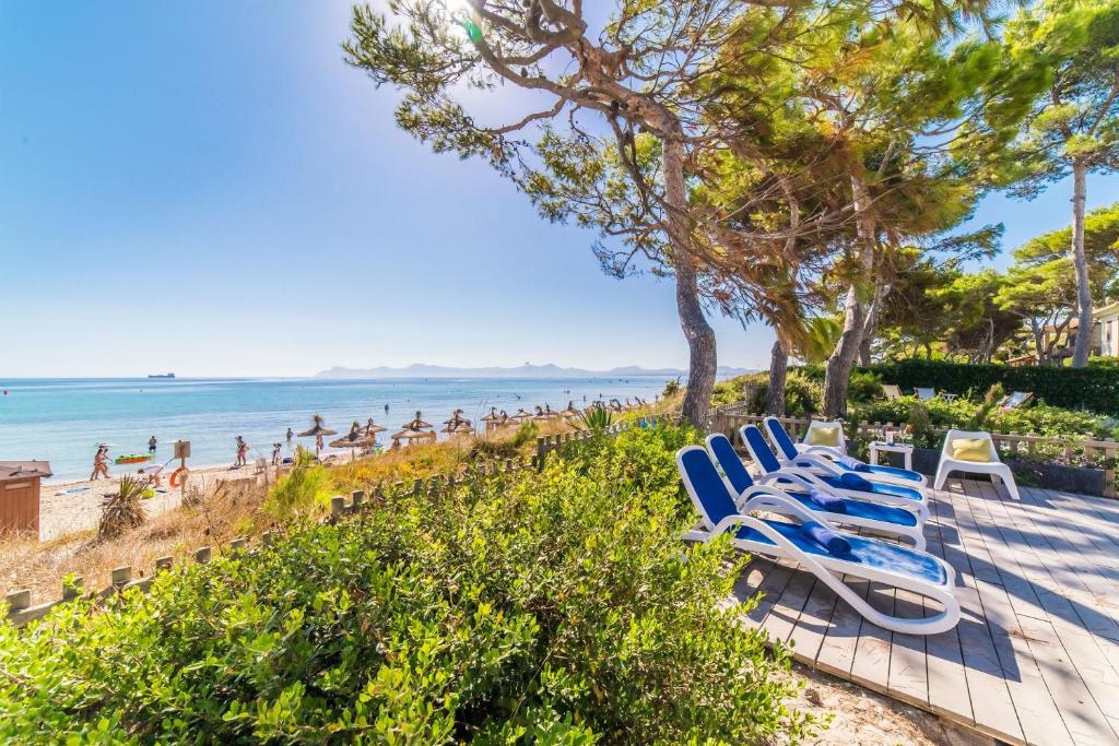 grupa niebieskich leżaków na plaży w obiekcie Ideal Property Mallorca - Gaviotas w Playa de Muro